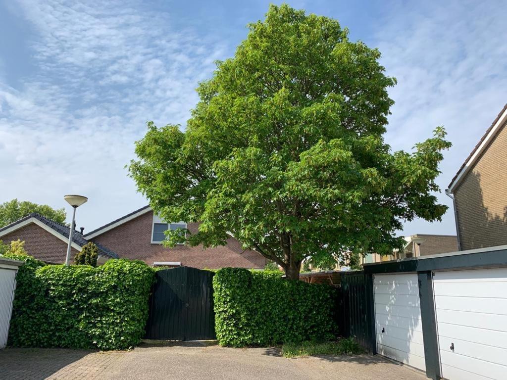 Oostvoornsch Gastenverblijf 东福尔讷 外观 照片